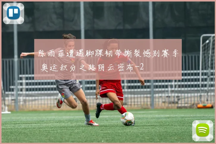 陈雨菲遭遇脚踝韧带撕裂憾别赛季 奥运积分之路阴云密布