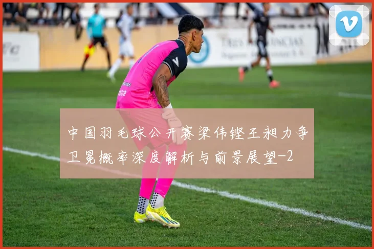 中国羽毛球公开赛梁伟铿王昶力争卫冕概率深度解析与前景展望