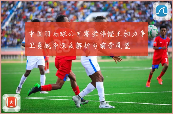 中国羽毛球公开赛梁伟铿王昶力争卫冕概率深度解析与前景展望
