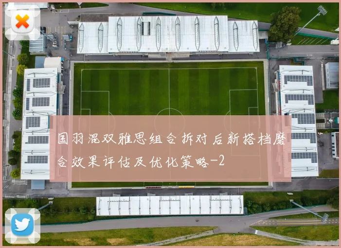 国羽混双雅思组合拆对后新搭档磨合效果评估及优化策略
