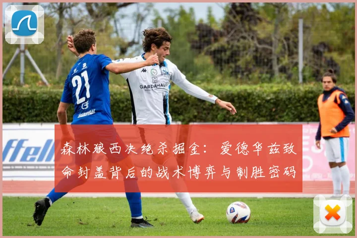 森林狼西决绝杀掘金：爱德华兹致命封盖背后的战术博弈与制胜密码