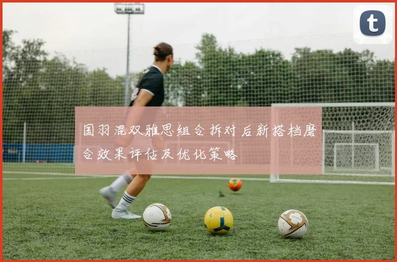 国羽混双雅思组合拆对后新搭档磨合效果评估及优化策略