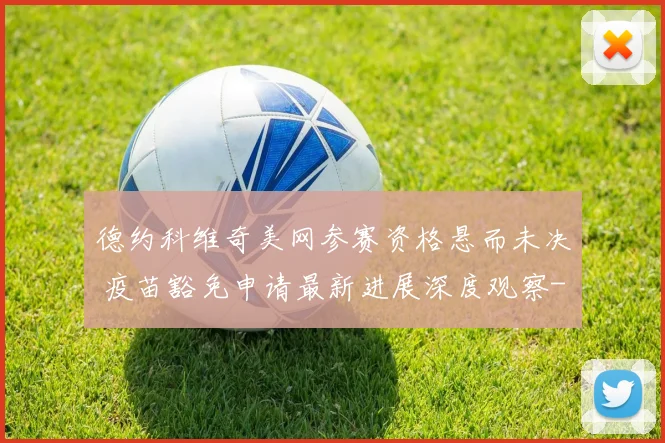 德约科维奇美网参赛资格悬而未决 疫苗豁免申请最新进展深度观察